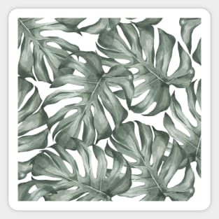 Monstera Pattern Sticker